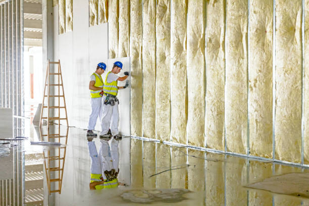 Best Spray Foam Insulation in Security Widefield, CO